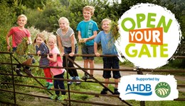 Open Your Gate